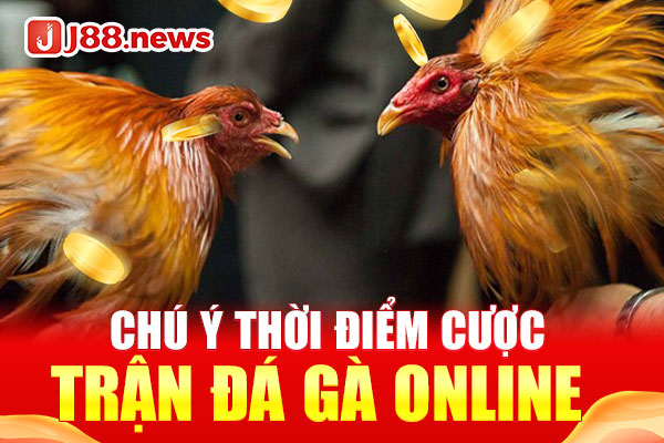 Chú ý thời điểm cược trận đá gà online Chú ý thời điểm cược trận đá gà online